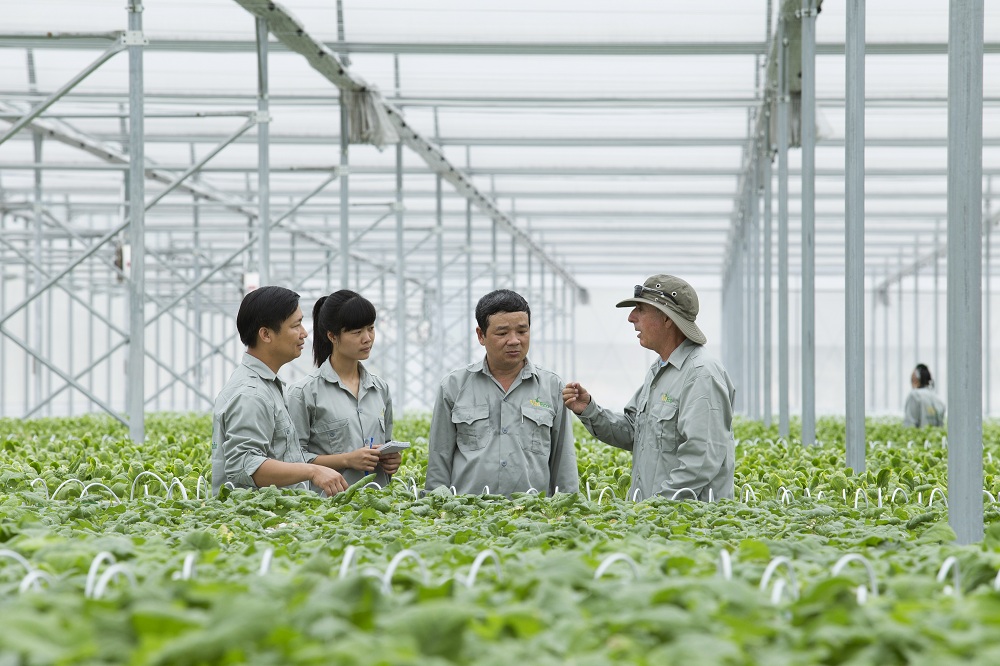 Vingroup liên kết với 1.000 HTX và nông dân cung ứng nông sản sạch và an toàn
