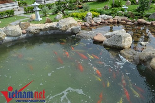 Hoài Linh,  Xuân Hinh, nhà thờ Tổ của Hoài Linh, nhà quê của Xuân Hinh