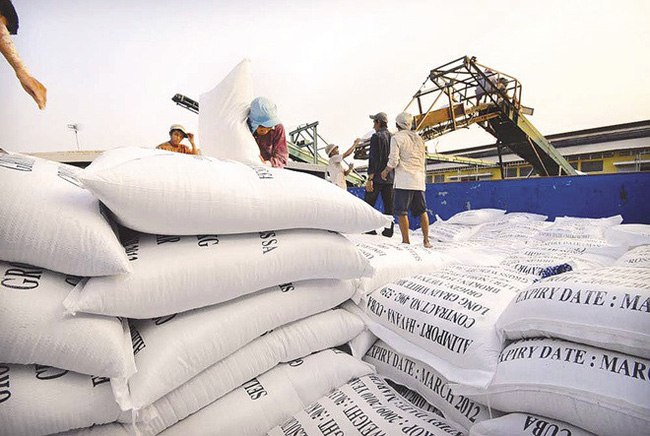 Tồn kho gần 1 triệu tấn gạo - xuất khẩu tiếp tục khó