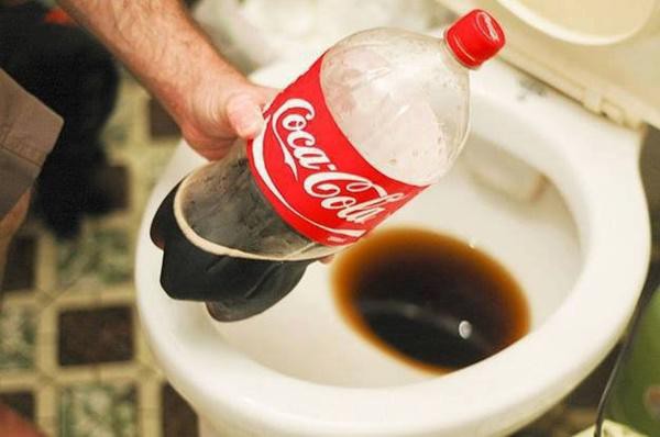 Hàng xóm đổ coca vào bồn cầu ai nhìn cũng mắng, khi thấy thành quả ...