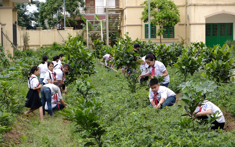 Vinamilk và nỗ lực mang màu xanh cho trường học, lan tỏa tình yêu thiên nhiên đến học sinh