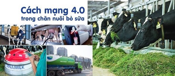 Hệ thống trang trại Vinamilk tăng trưởng về quy mô lẫn hiệu quả hoạt động