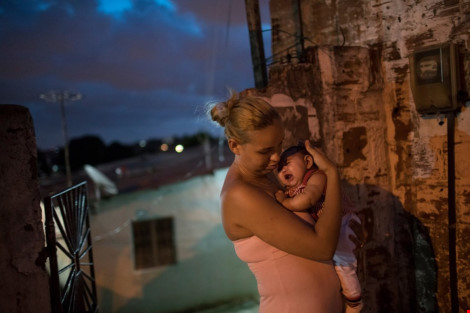 Cách phòng ngừa và điều trị bệnh do virus zika gây ra