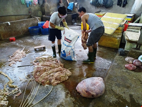 nội tạng bò ngâm hóa chất trước khi ra thị trường