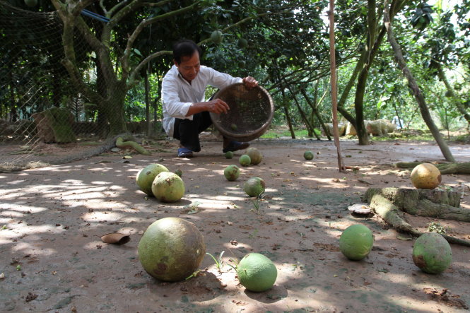 Mô tả ảnh.