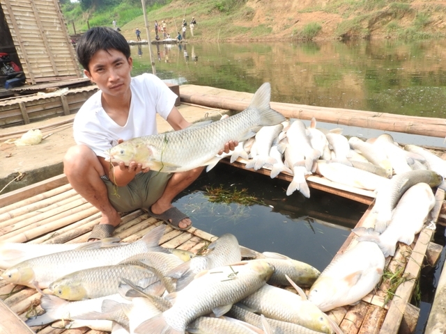 Mô tả ảnh.