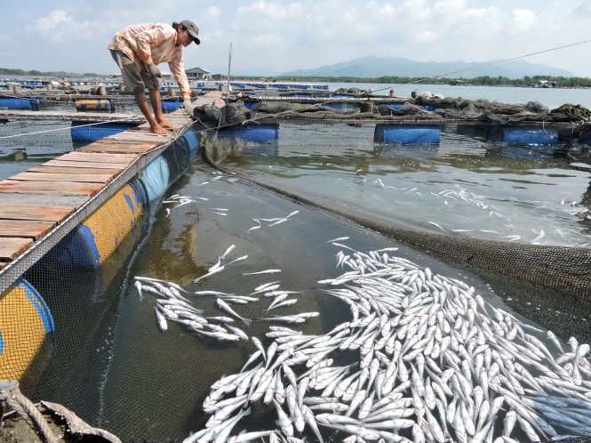 Mô tả ảnh.