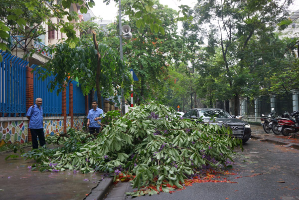 Mô tả ảnh.