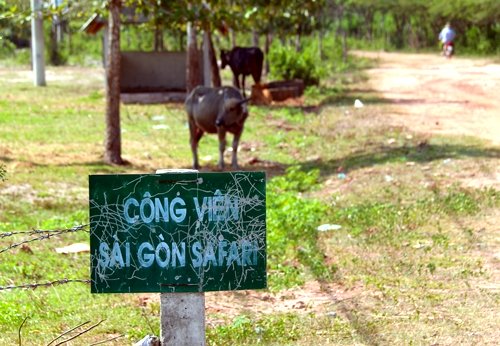 Mô tả ảnh.