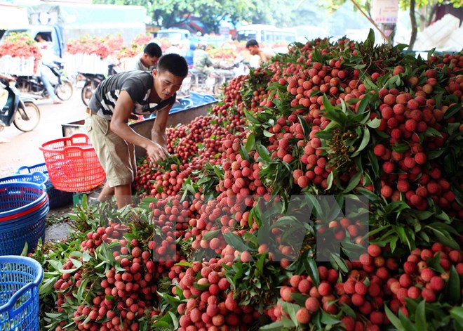 Mô tả ảnh.