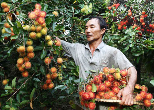 Mô tả ảnh.