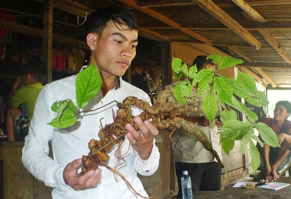 Mô tả ảnh.