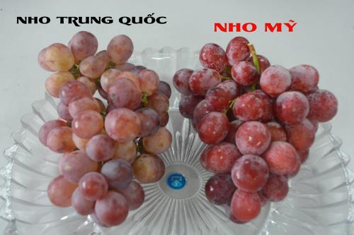 Cách phân biệt một số loại hoa quả Trung Quốc với hoa quả Việt Nam