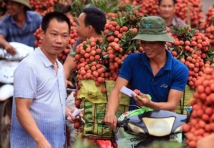 Mô tả ảnh.