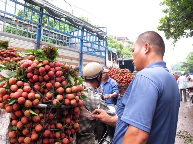 Mô tả ảnh.