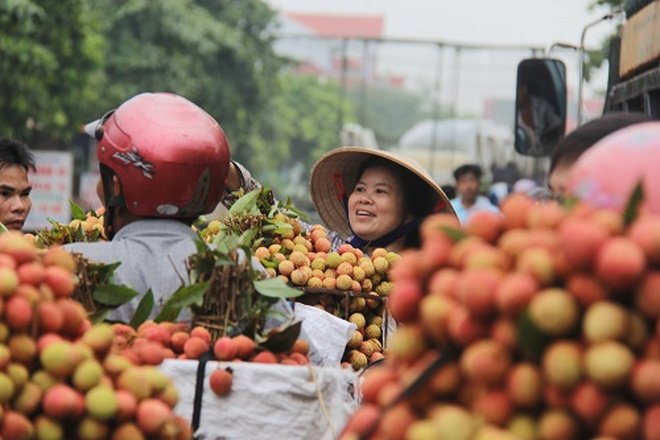 Mô tả ảnh.