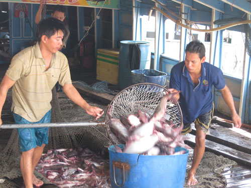 Mô tả ảnh.