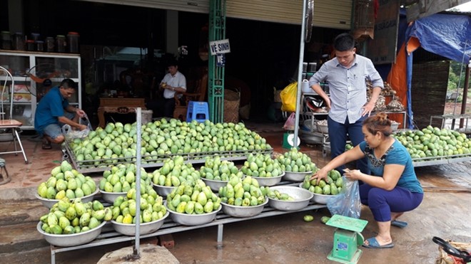 Mô tả ảnh.