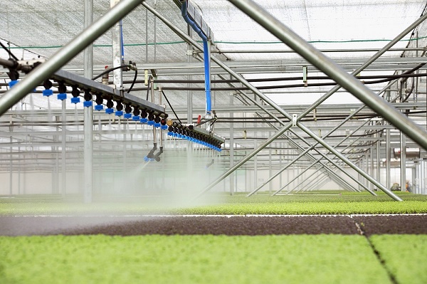 Công nghệ trồng rau nhà kính VinEco đang sử dụng là công nghệ tiên tiến, hàng đầu thế giới.
