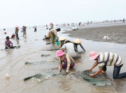 Mô tả ảnh.