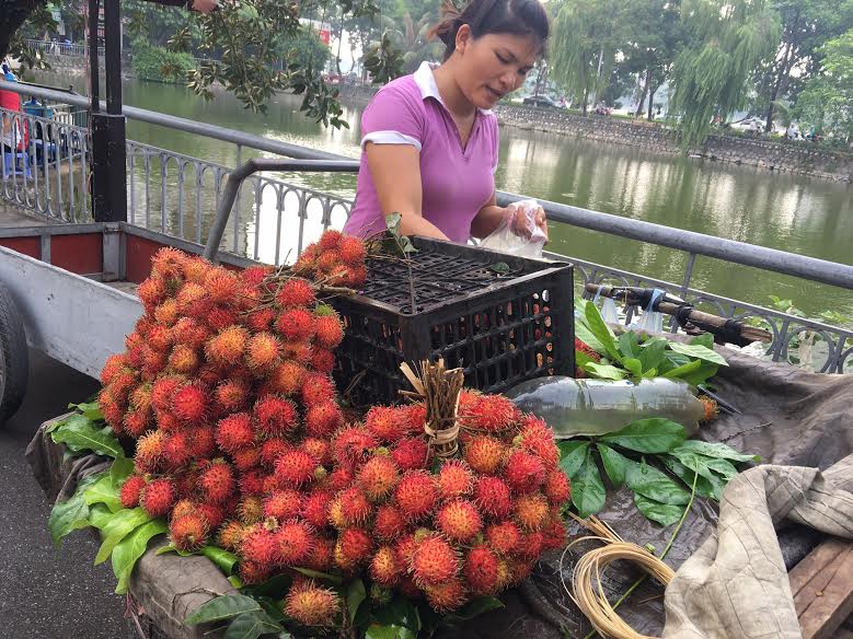 Mô tả ảnh.