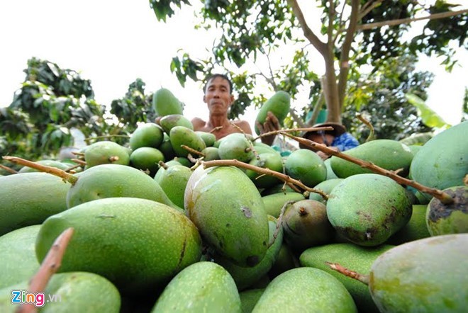 Mô tả ảnh.