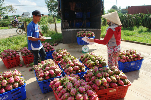 Mô tả ảnh.