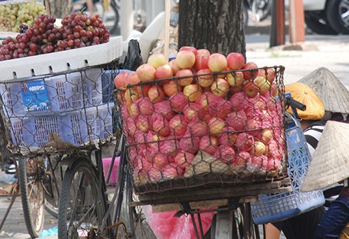 Mô tả ảnh