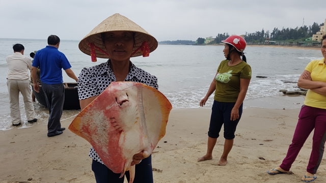 Mô tả ảnh.