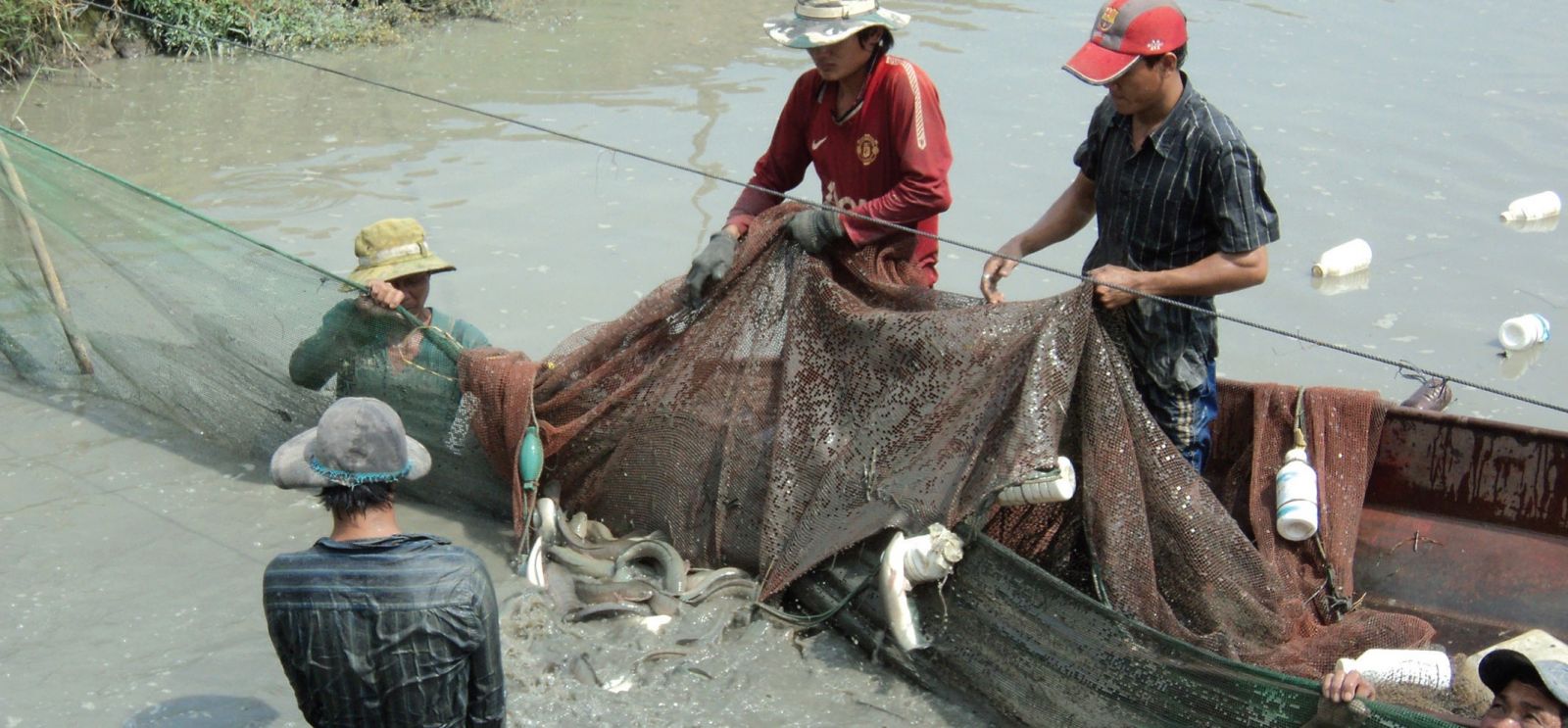 Mô tả ảnh