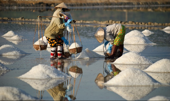 Mô tả ảnh