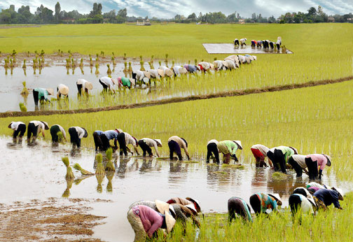 Mô tả ảnh