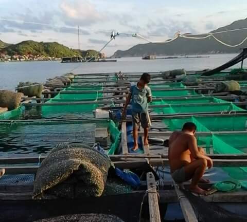 Mô tả ảnh