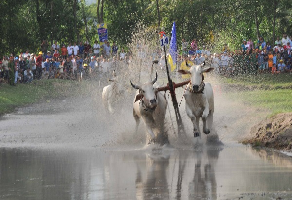 Mô tả ảnh