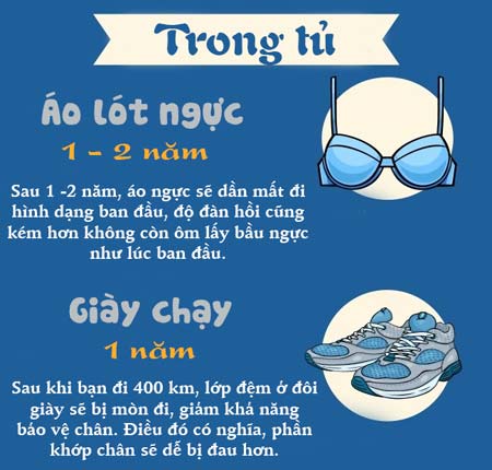 Mô tả ảnh