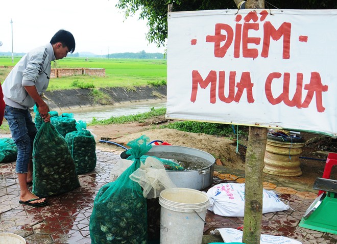 Mô tả ảnh