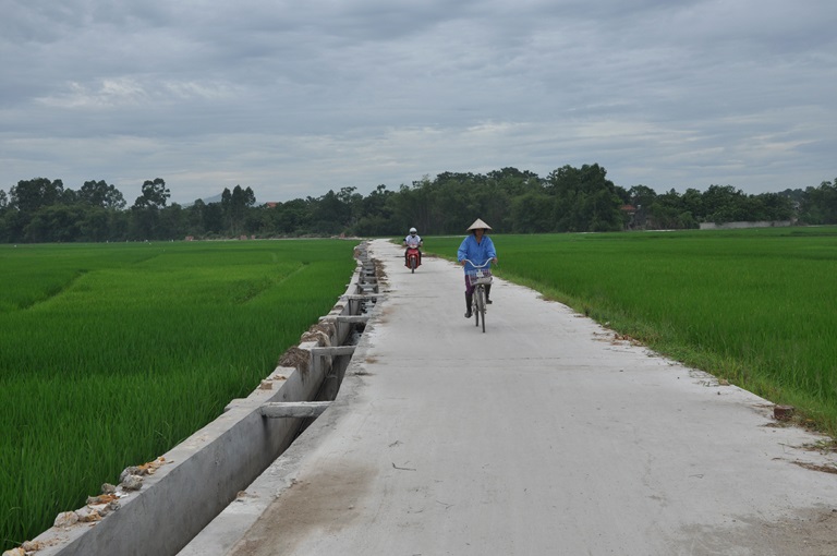 Mô tả ảnh