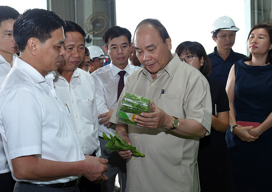 Mô tả ảnh