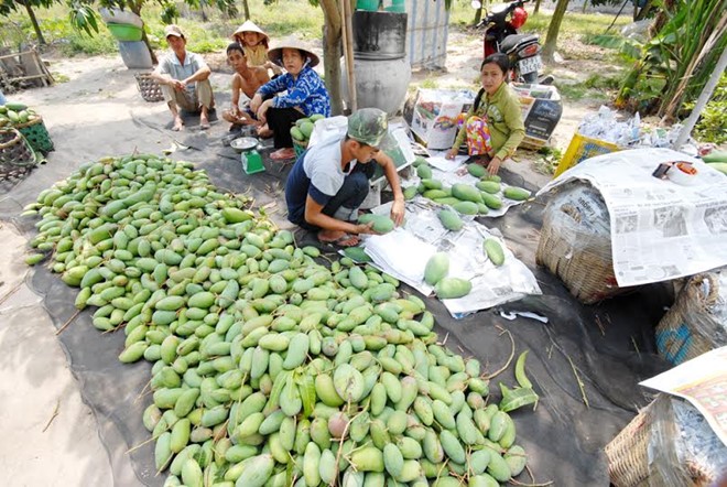 Mô tả ảnh