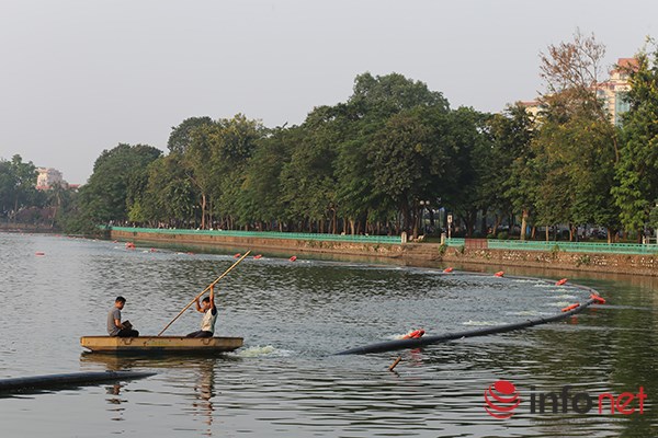 Mô tả ảnh