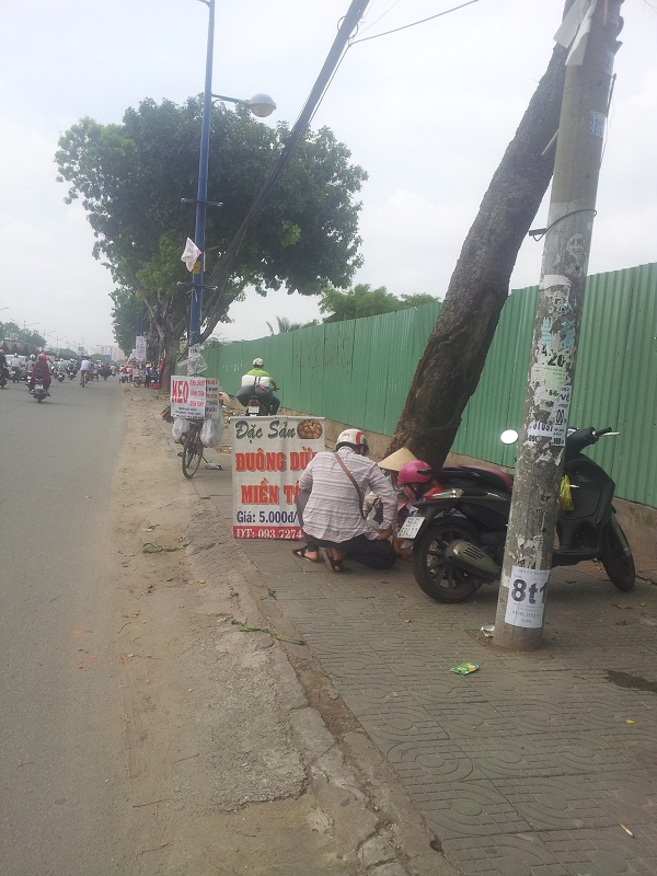 Mô tả ảnh