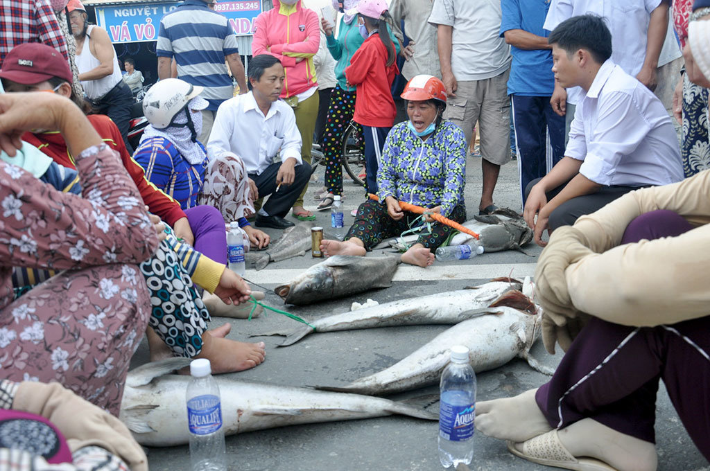 Mô tả ảnh