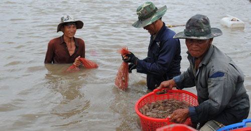 Mô tả ảnh