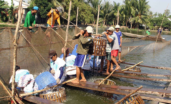 Mô tả ảnh