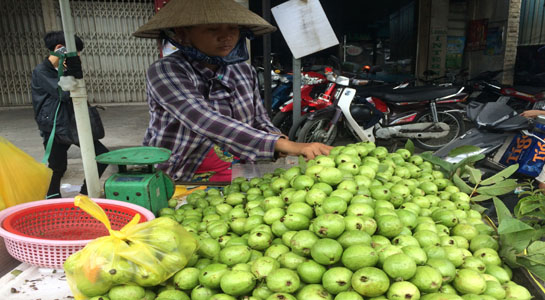 Mô tả ảnh