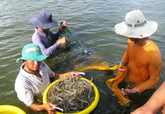 Mô tả ảnh