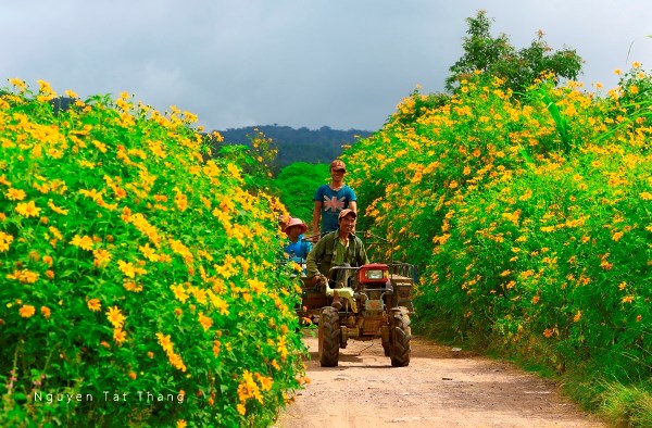 Mô tả ảnh