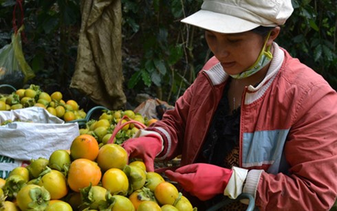 Mô tả ảnh