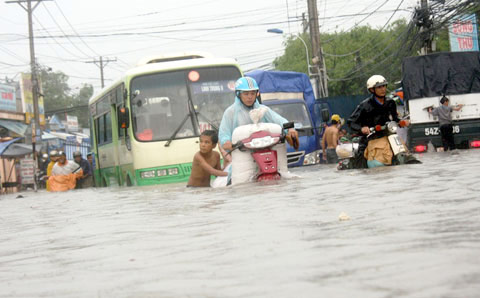 Mô tả ảnh