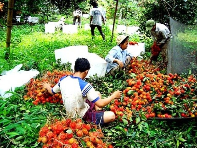 Mô tả ảnh